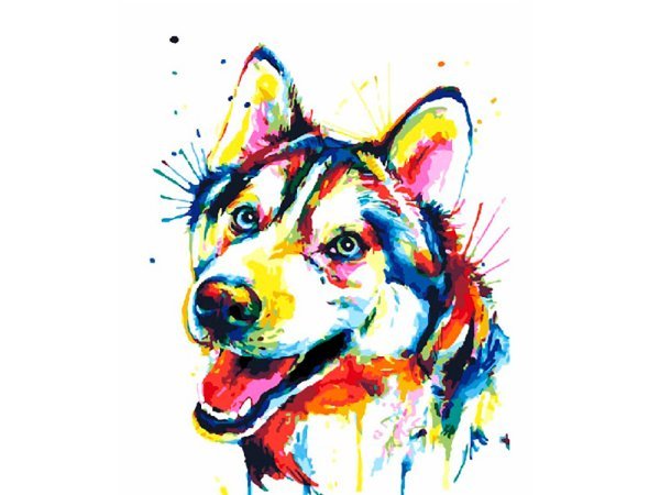 Картины по номерам "Разноцветный щенок", 30x40 см 