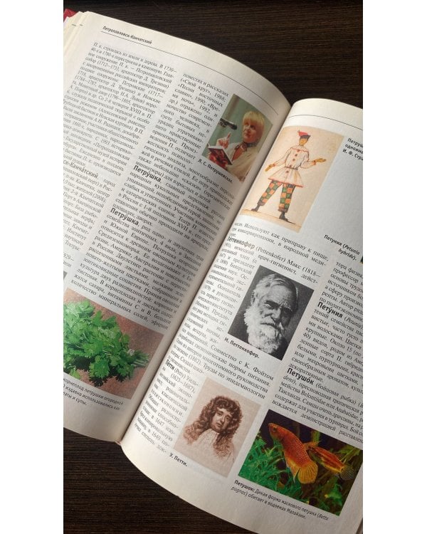 Большая иллюстрированная энциклопедия. Том 21. ПАП - ПЛО