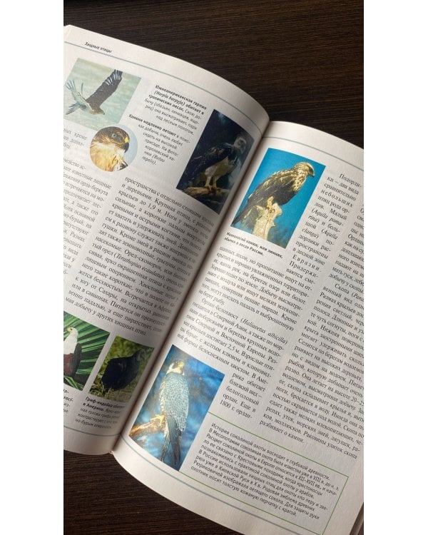 Большая Иллюстрированная энциклопедия. Том 20. Ого-Пап