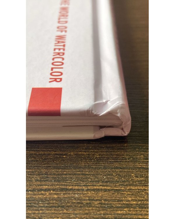 Евгений Дубицкий. Пастельная акварель  