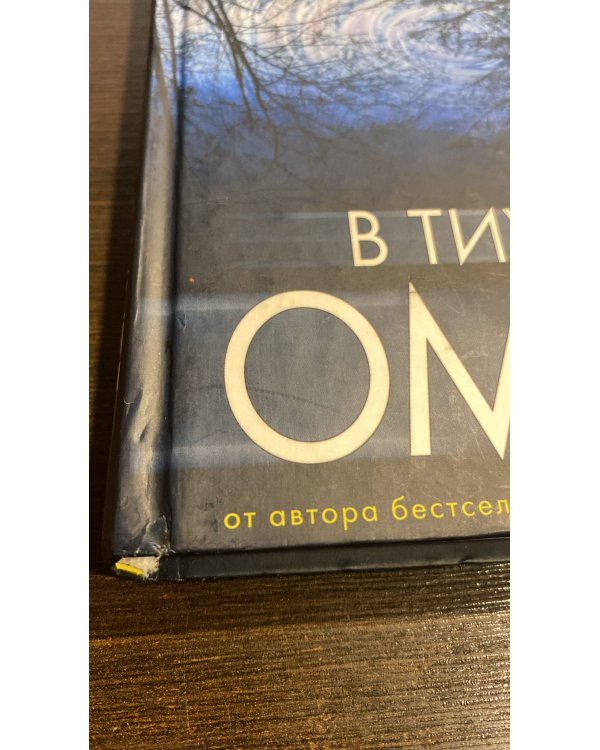 В тихом омуте 