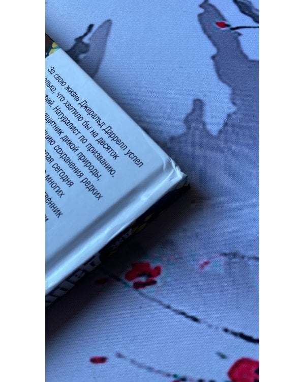 Юбилей Ковчега