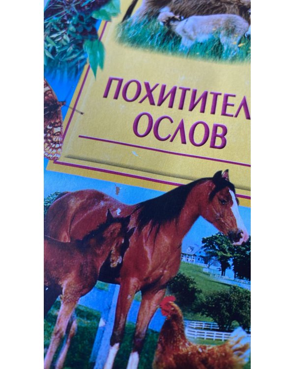 Похитители ослов