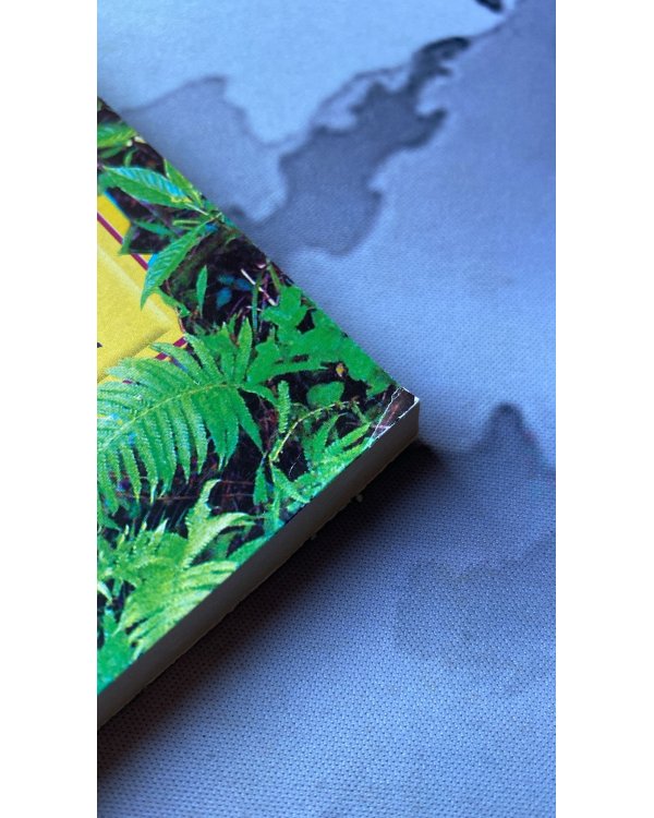 Похитители ослов