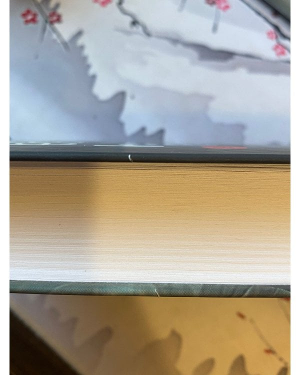 Тень за спиной: роман