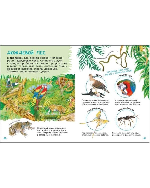 Гигантская энциклопедия для самых маленьких и умных