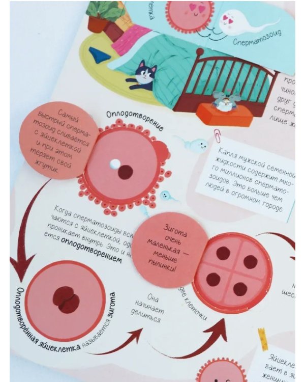 Нескучные окошки. Про это. Правдивые ответы на интимные вопросы