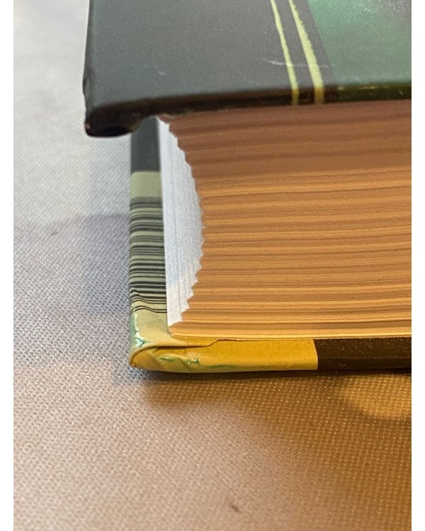 Тень за спиной: роман