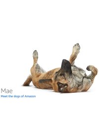 Почему один Егорка