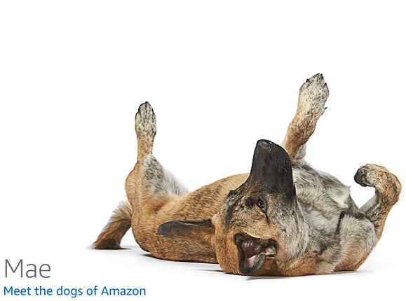 Почему один Егорка