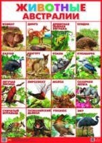 Животные Австралии