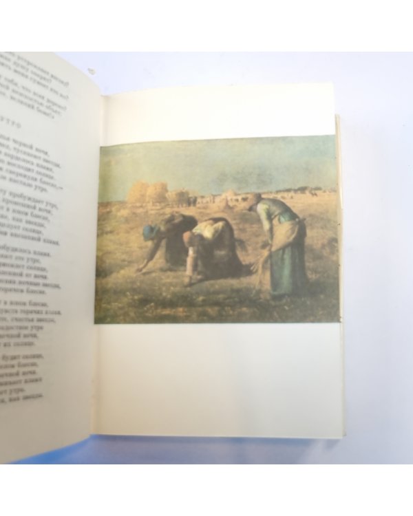 Европейская поэзия XIX века. (Библиотека всемирной литературы)