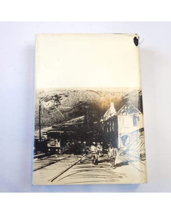 Города и годы. Братья (Библиотека всемирной литературы)