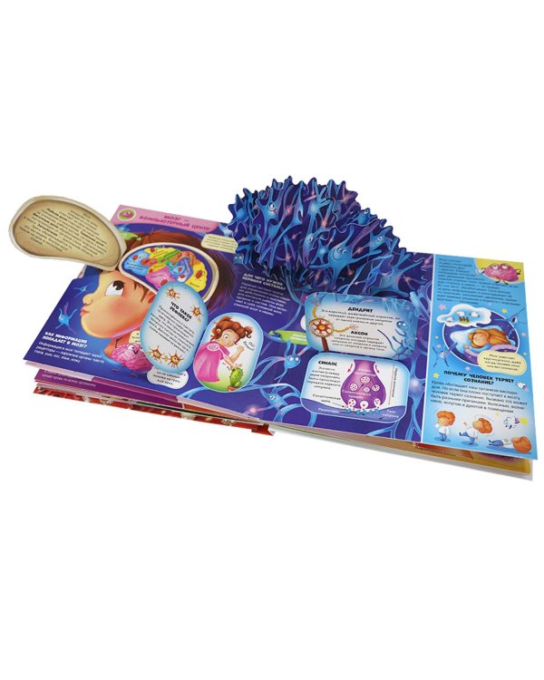 Интерактивная энциклопедия. Анатомия