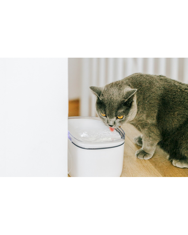 Умная чаша для воды Petoneer Mini Plus PN-110013-01