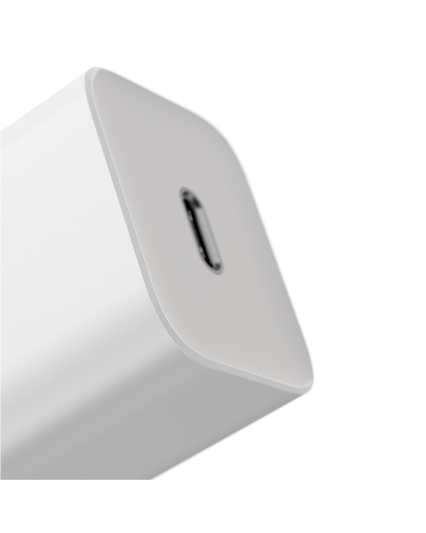 Baseus Super Si Quick Charger 1C 25W с кабелем USB-C для USB-C 1м (белый)