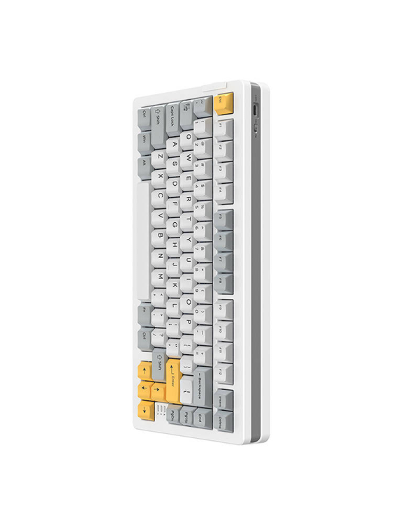Mechanical keyboard Dareu A81 (white)
