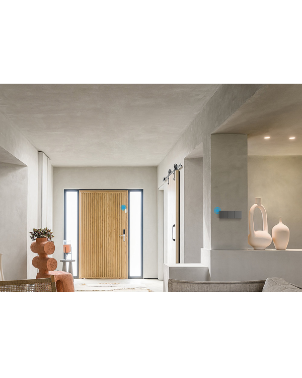 Sonoff Smart 1-канальный Wi-Fi настенный выключатель черный (M5-1C-86)