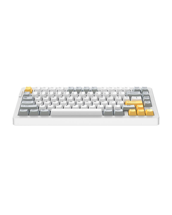Mechanical keyboard Dareu A81 (white)