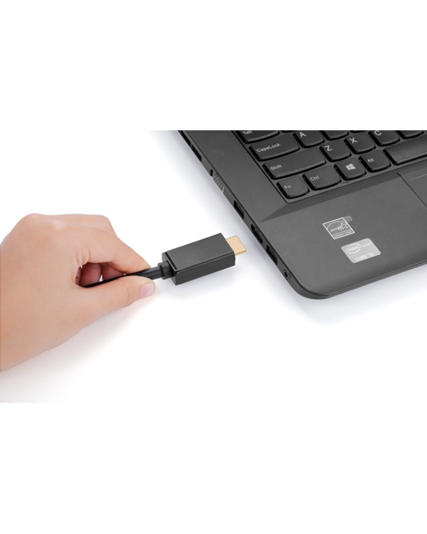 Ugreen Uni-directional DisplayPort to HDMI cable 4K 30 Hz 32 AWG 1,5 m (DP101 10239)