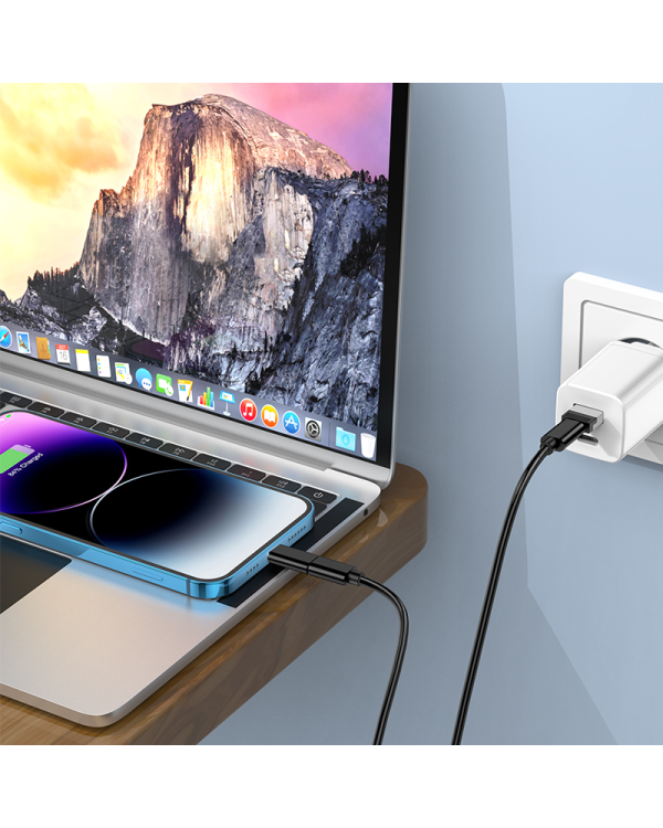 Borofone Seto of 3 adapters + Type C to Type C cable + SIM card needle BU36