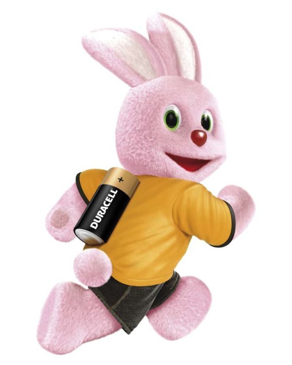 Duracell D 2 MN1300 Alkaline LR20 1.5V Батарейки (2шт.) (EU Blister)