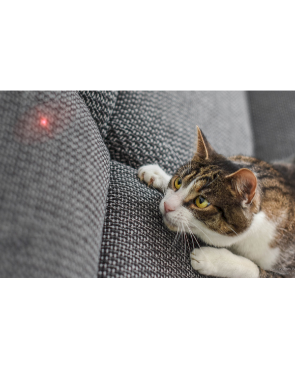 Умный лазер Petoneer PN-110015-01 для игры собакам / кошкам