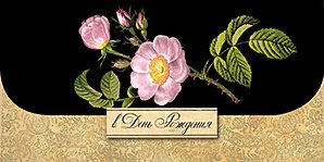 Открытка-конверт для денег Лакарт