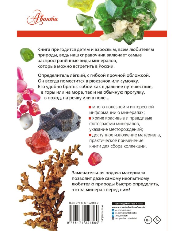 Минералы России. Определитель