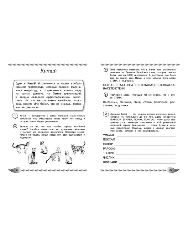 Пишу без ошибок. Развитие орфографической зоркости: для детей 9-10 лет