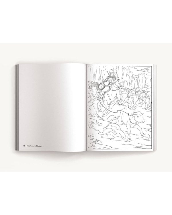 Color Me Wild West Раскрась меня Дикий запад раскраска /Книги на английском языке