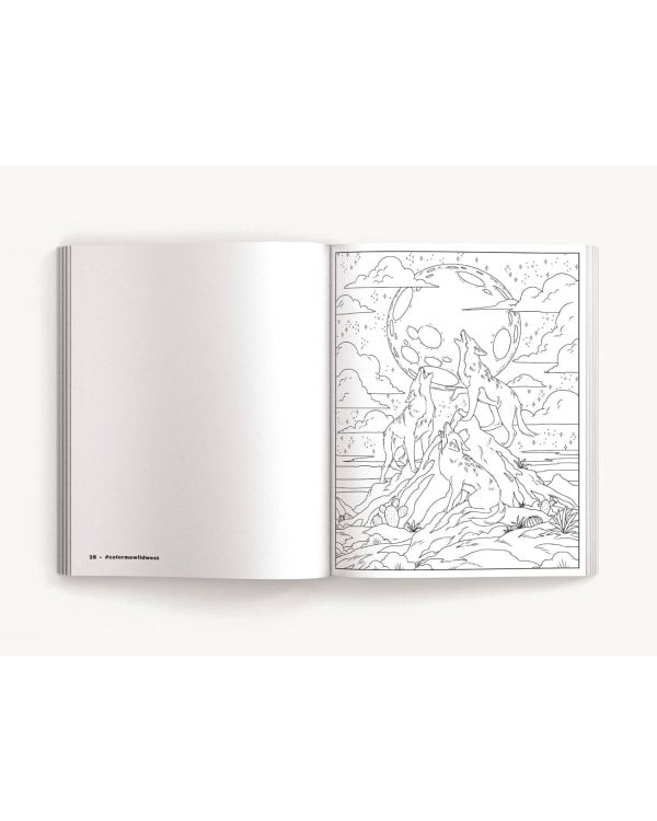 Color Me Wild West Раскрась меня Дикий запад раскраска /Книги на английском языке