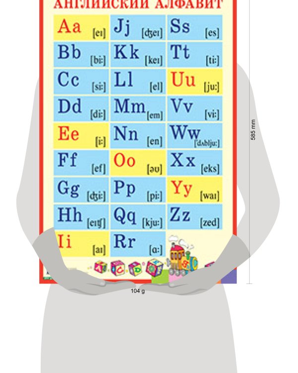 Английский алфавит с транскрипцией. Наглядное пособие для школы (Большой формат)