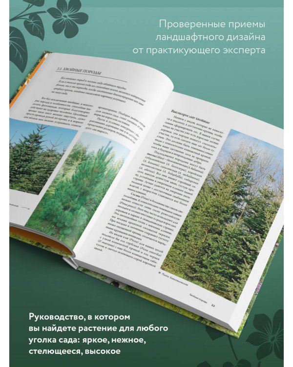 Лесной сад. Ландшафтный дизайн в гармонии с природой