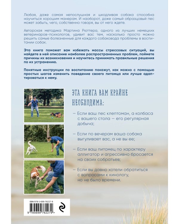 Идеальная собака не выгуливает хозяина. Как воспитать собаку без вредных привычек