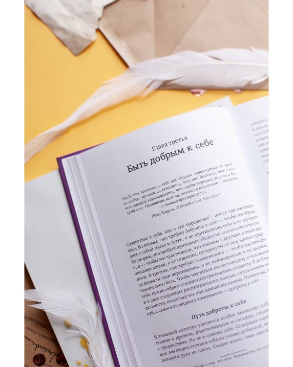 Сочувствие к себе. Главная практика для внутренней опоры и счастья