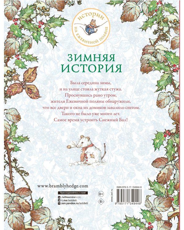 Зимняя история