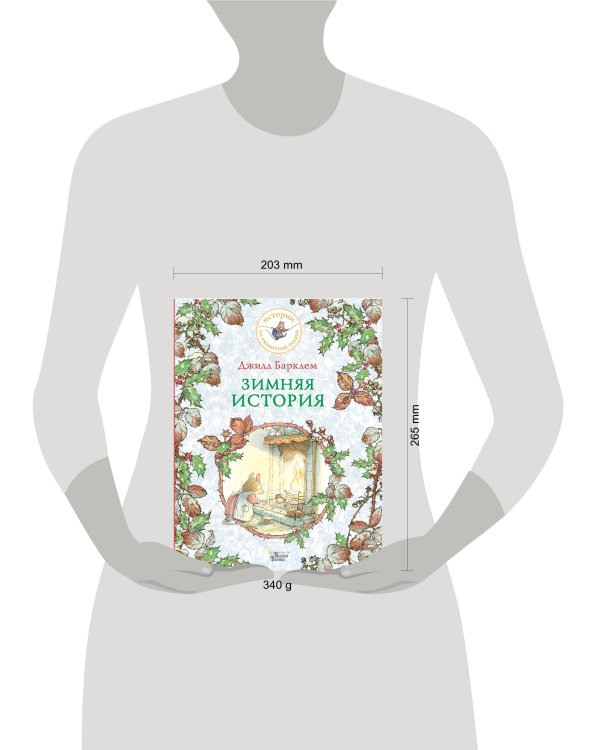 Зимняя история