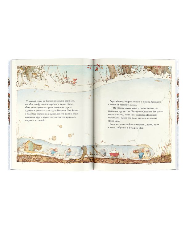 Зимняя история