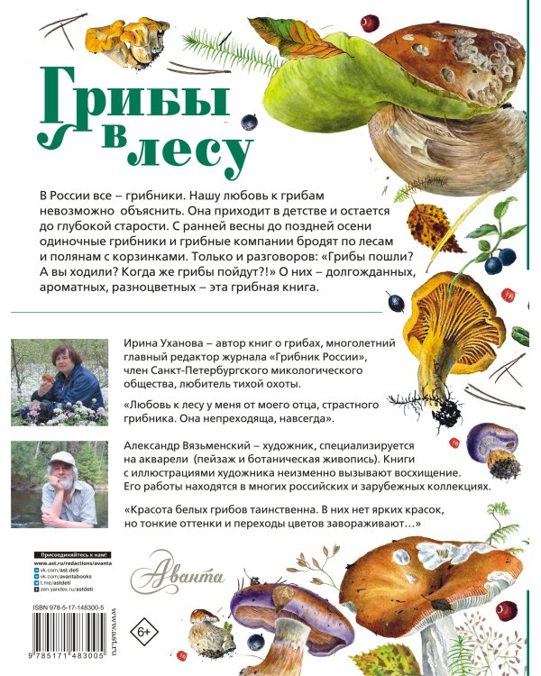 Грибы в лесу