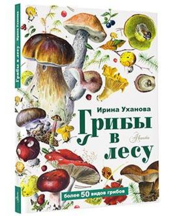 Грибы в лесу