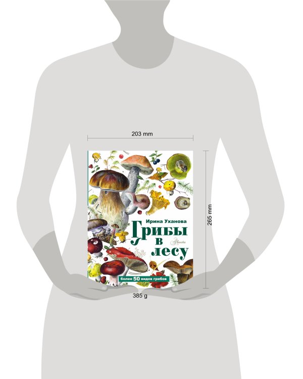 Грибы в лесу