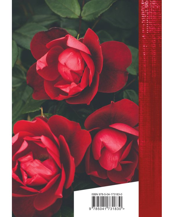 Ее глаза на звезды не похожи. Сонеты