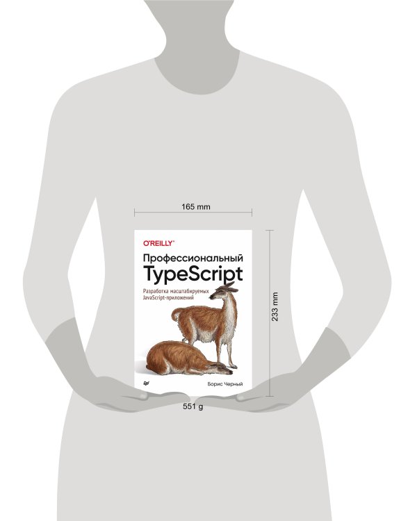 Профессиональный TypeScript. Разработка масштабируемых JavaScript-приложений