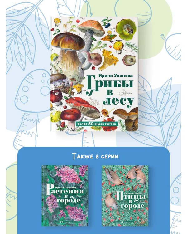 Грибы в лесу