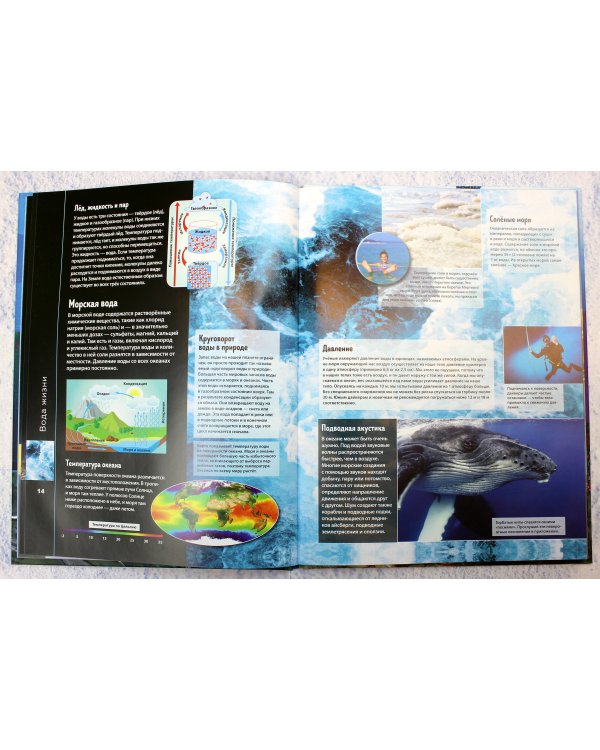 Океаны и моря. Виртуальная реальность