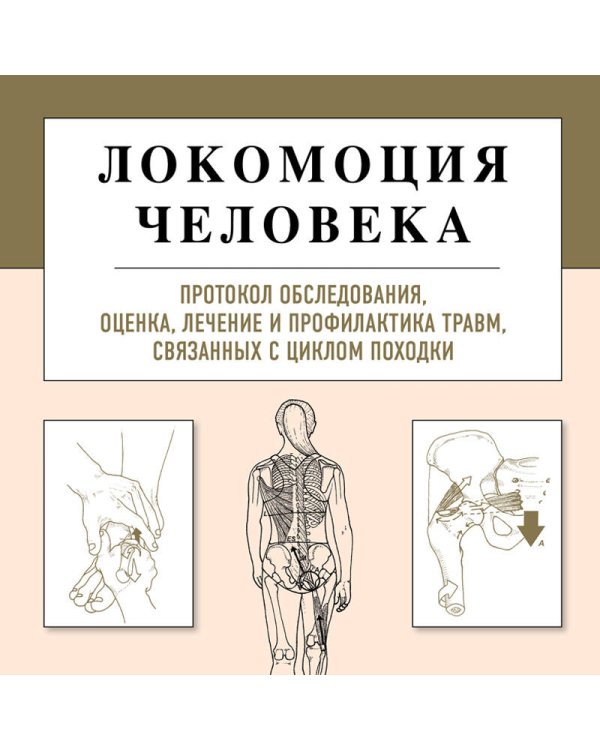 Локомоция человека. Протокол обследования, оценка, лечение и профилактика травм, связанных с циклом походки