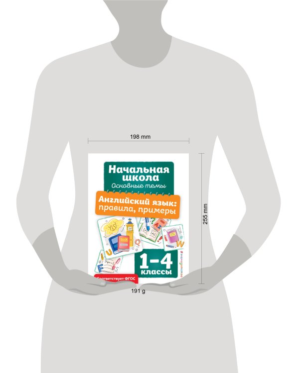 Английский язык: правила, примеры