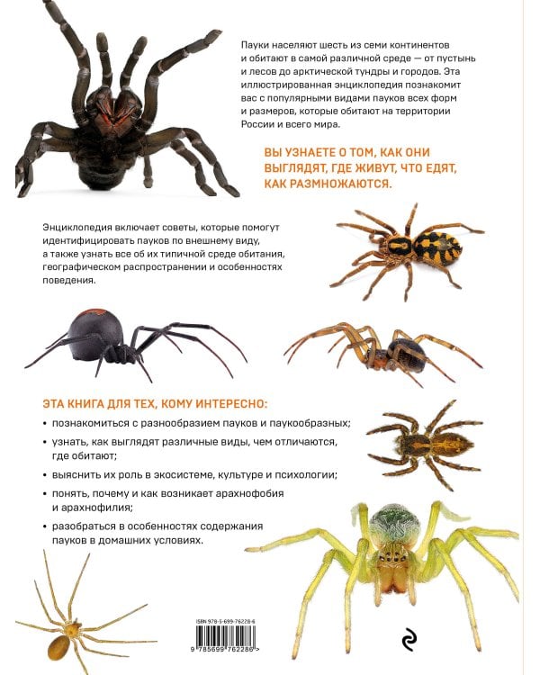 Пауки. Познавательная иллюстрированная энциклопедия для всей семьи