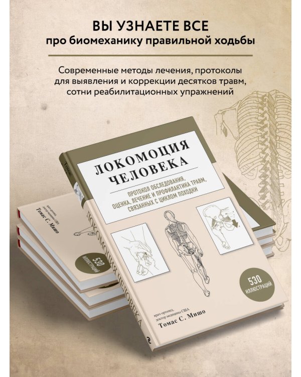 Локомоция человека. Протокол обследования, оценка, лечение и профилактика травм, связанных с циклом походки